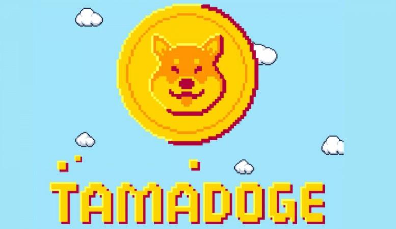 Tamadoge — nok et forsøk på hype på Dogecoin eller en stor nyhet i NFT- -spillverdenen?
