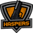 Haspers Team(counterstrike)