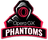 Opera GX Phantoms(counterstrike)