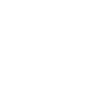 RvN(counterstrike)