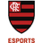 Flamengo Esports Academy(lol)