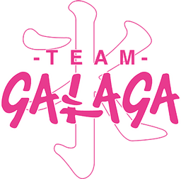 Team Galaga Kitsune