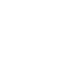 Team Mystic X