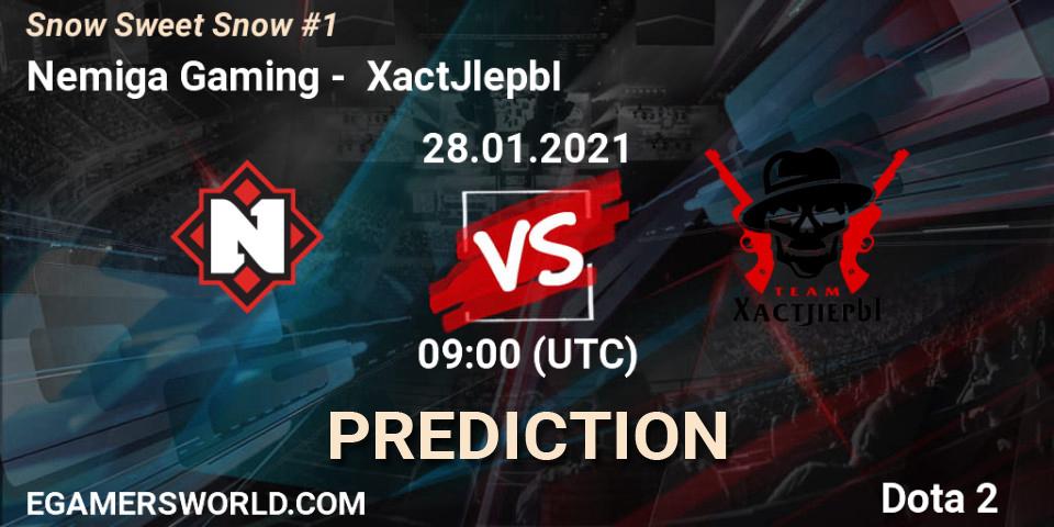 Nemiga Gaming vs XactJlepbI: Match Prediction. 28.01.2021 at 08:57, Dota 2, Snow Sweet Snow #1