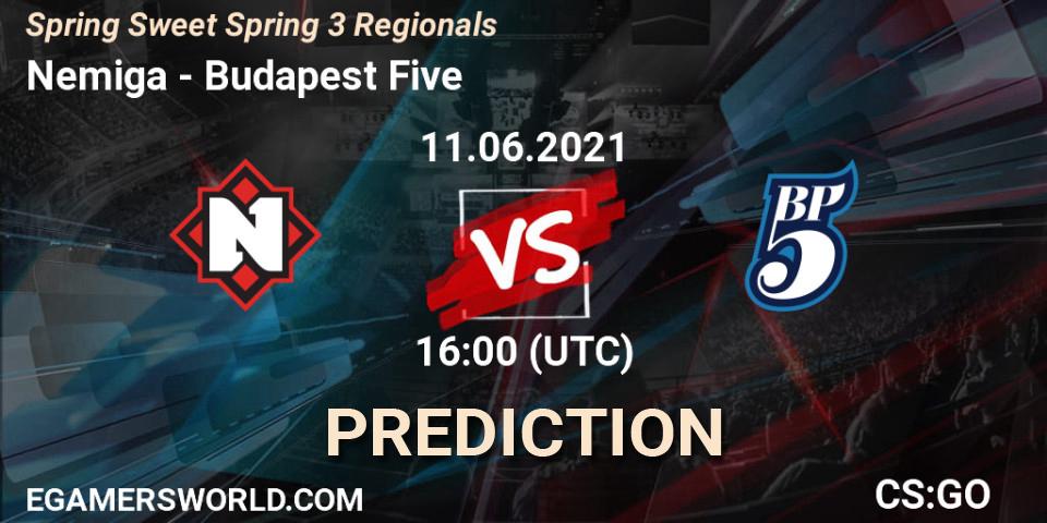 Nemiga vs Budapest Five: Match Prediction. 11.06.2021 at 16:10, Counter-Strike (CS2), Spring Sweet Spring 3 Regionals