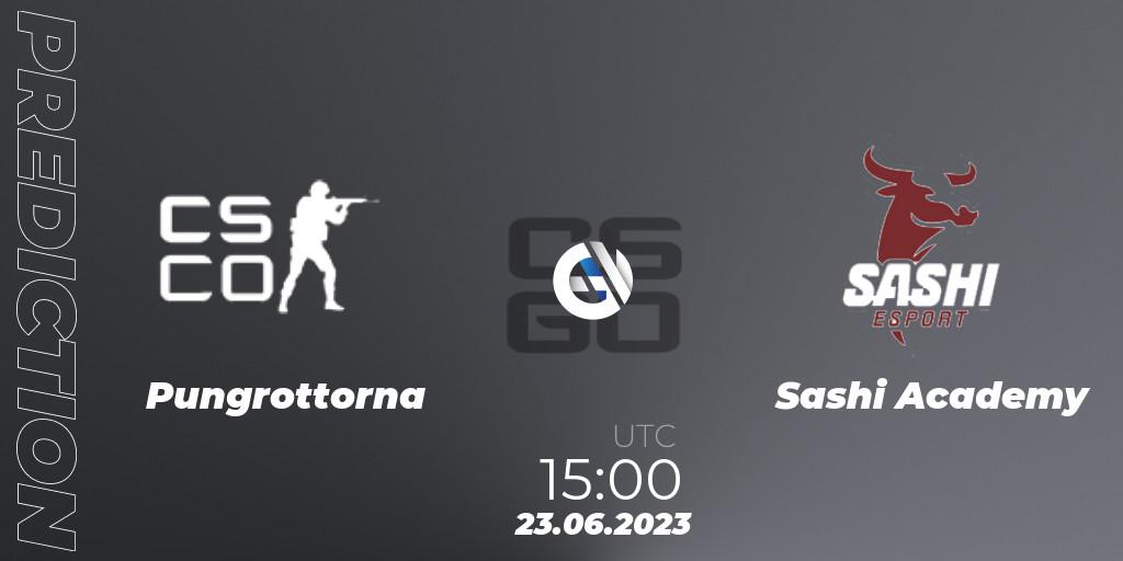 Pungrottorna vs Sashi Academy: Match Prediction. 23.06.2023 at 15:00, Counter-Strike (CS2), Preasy Summer Cup 2023