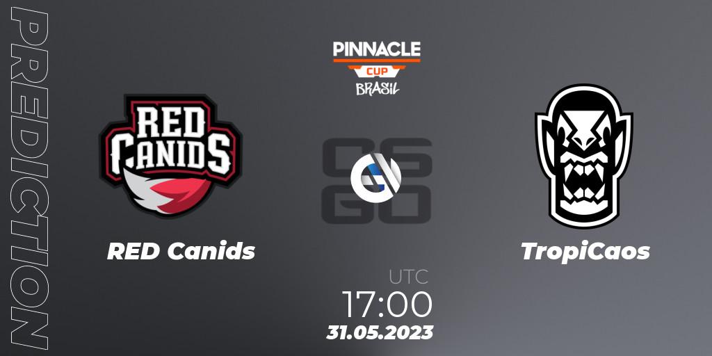 RED Canids vs TropiCaos: Match Prediction. 31.05.23, CS2 (CS:GO), Pinnacle Brazil Cup 1