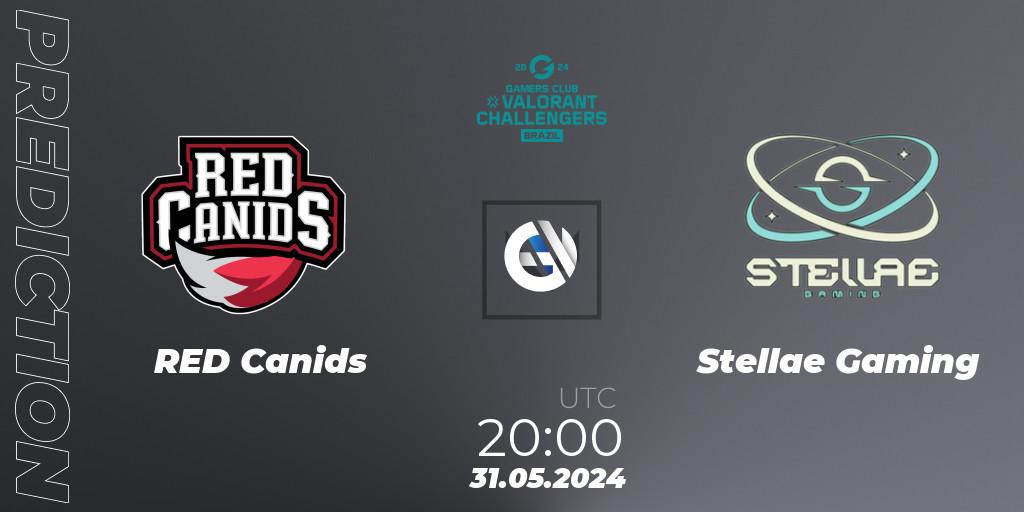 RED Canids vs Stellae Gaming: Match Prediction. 31.05.2024 at 20:00, VALORANT, VALORANT Challengers 2024 Brazil: Split 2