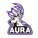 Aura Esports (counterstrike)