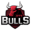GTZ Bulls Esports