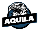OOE Aquila (counterstrike)