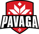 Pavaga Gaming (counterstrike)