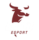 Sashi Academy (counterstrike)