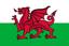 Team Wales fe