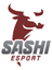  Sashi Esport(counterstrike)
