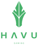 HAVU Gaming (dota2)
