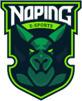 NoPing eSports