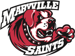 Maryville Saints(overwatch)