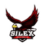Silex eSports