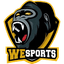WeSports PS