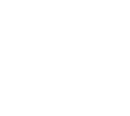 LFL Summer 2020 - Playoffs