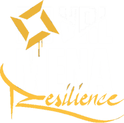 VALORANT Regional Leagues 2022 MENA: Resilience Stage 1 - Grand Finals