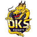 DKS Esports (valorant)
