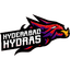 Hyderabad Hydras