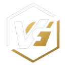 Virtual Grounds Esports (valorant)