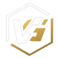 Virtual Grounds Esports(valorant)