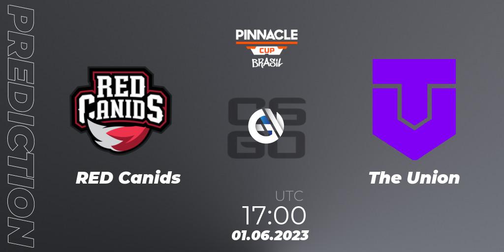 RED Canids vs The Union: Match Prediction. 01.06.23, CS2 (CS:GO), Pinnacle Brazil Cup 1