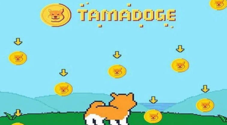 Is Tamadoge another attempt to hype around Dogecoin or a nice novelty in the world of NFT games?. Photo 1