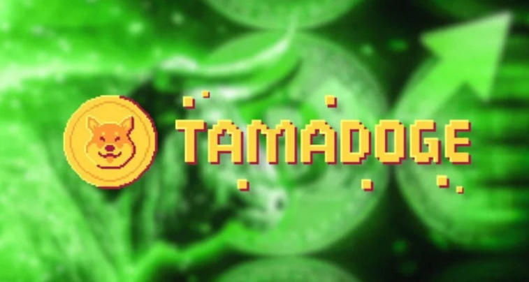 Is Tamadoge another attempt to hype around Dogecoin or a nice novelty in the world of NFT games?. Photo 3