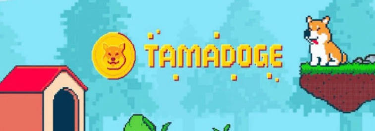 Is Tamadoge another attempt to hype around Dogecoin or a nice novelty in the world of NFT games?. Photo 5