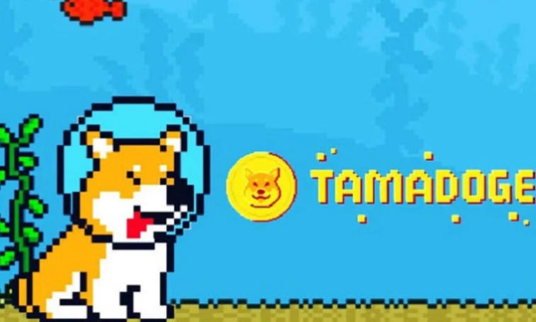 Is Tamadoge another attempt to hype around Dogecoin or a nice novelty in the world of NFT games?. Photo 8